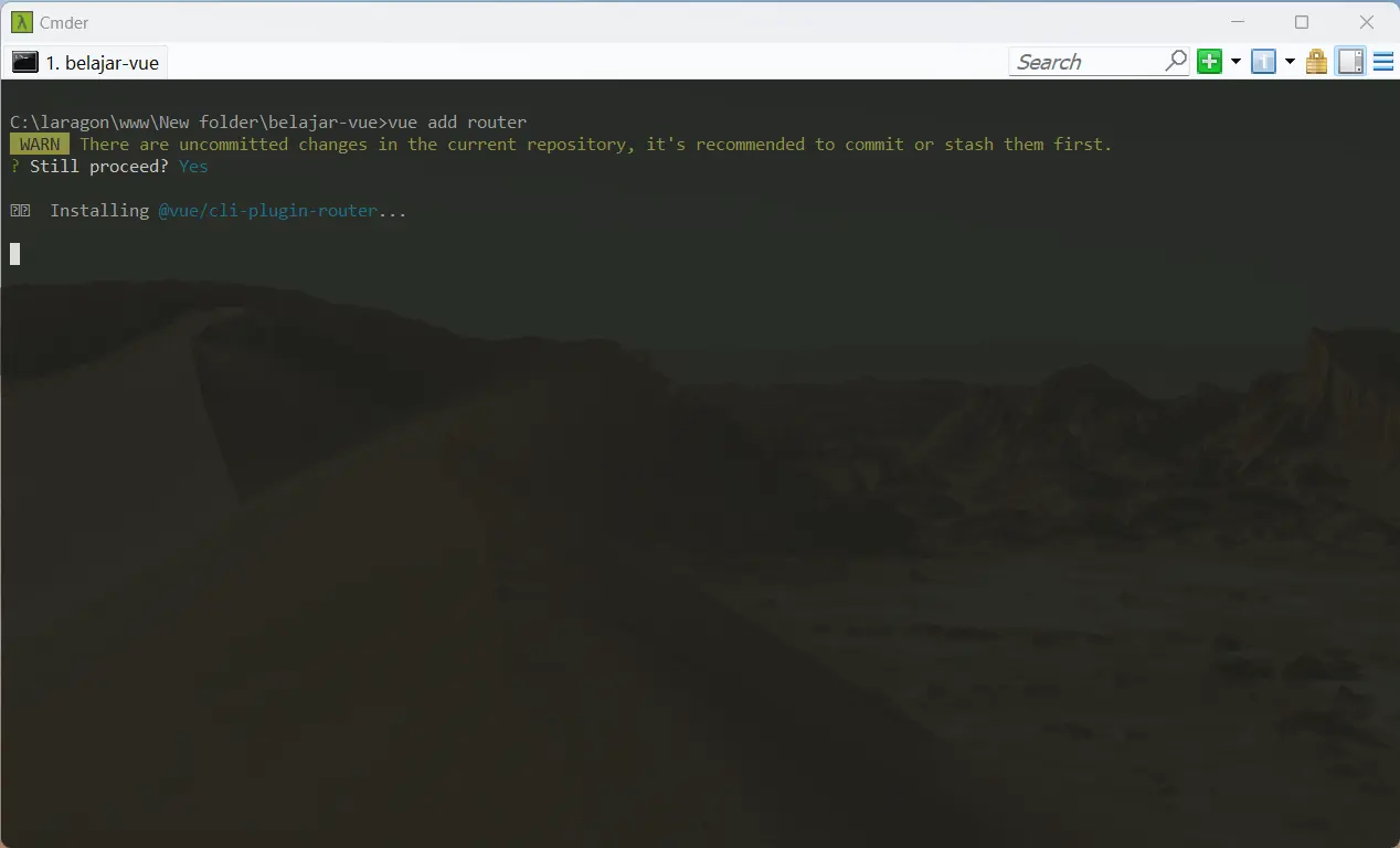 process install vue router