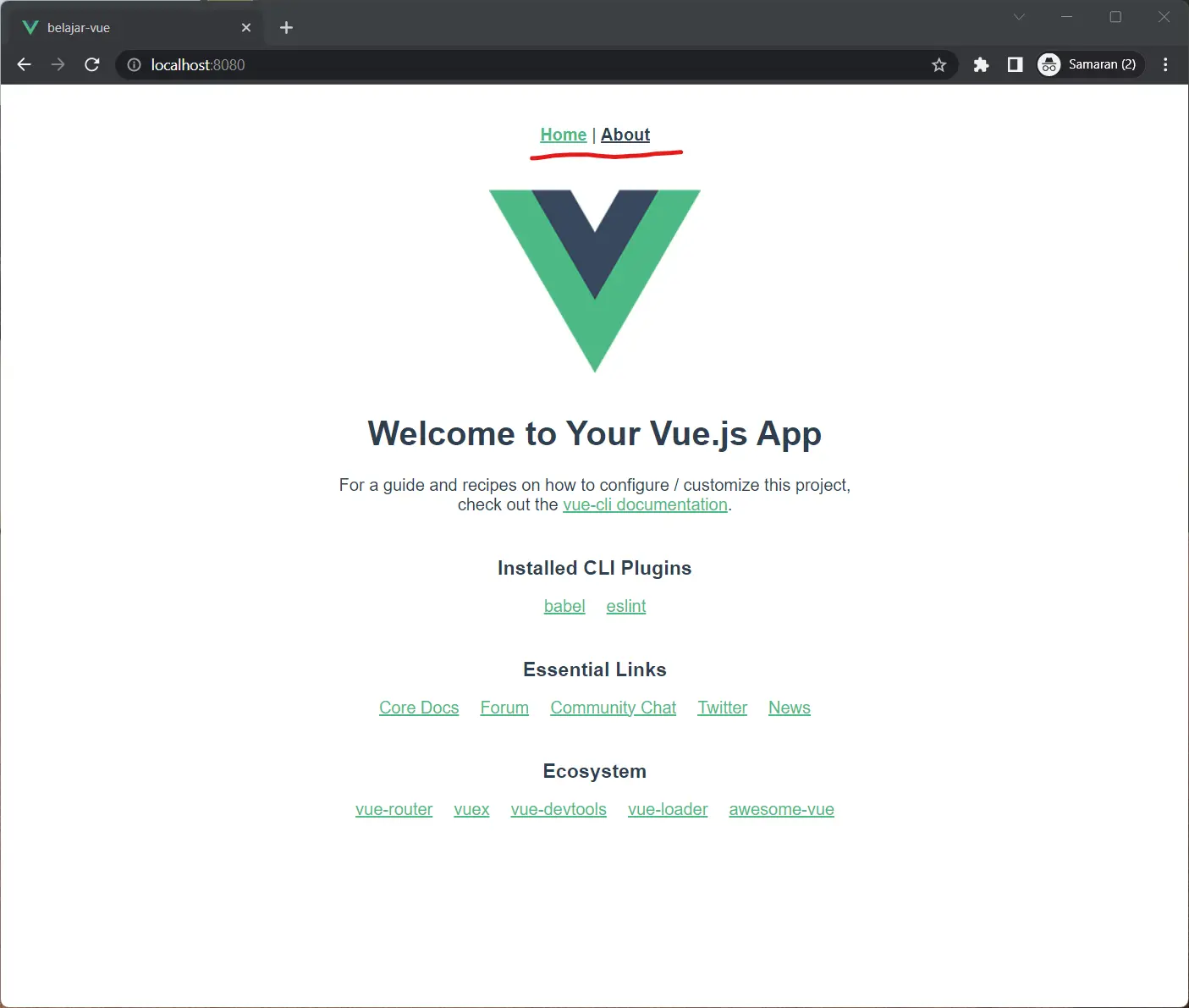 process install vue router