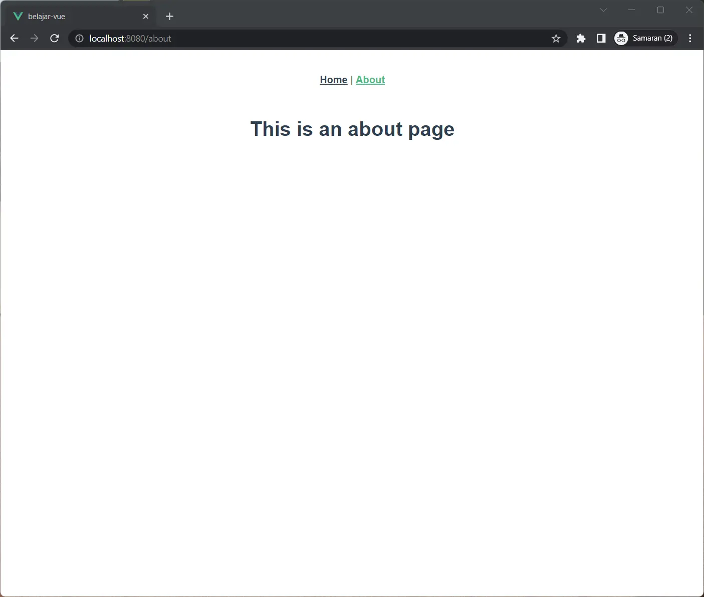 process install vue router