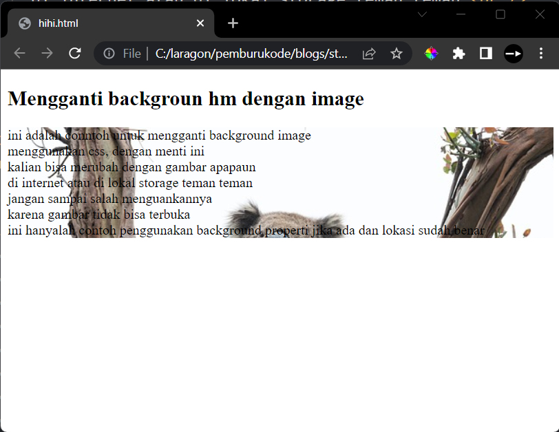 html-background-image-example-02.png