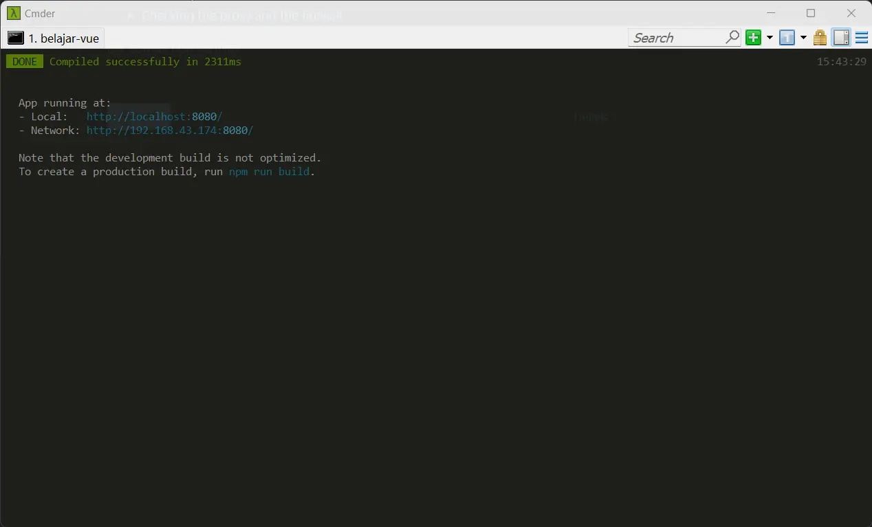 vue cli running local finish