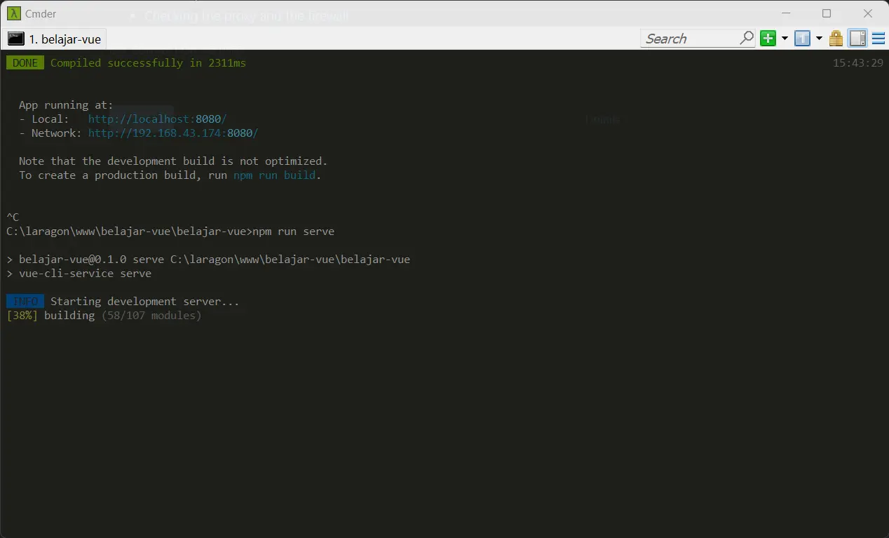 vue cli running local stasrt serve
