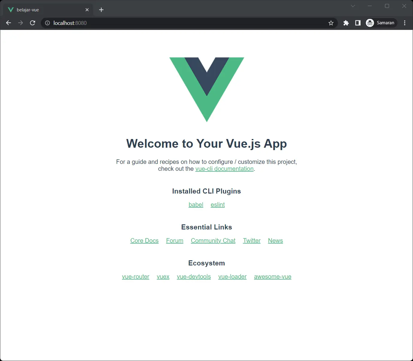 vue cli running local npm run serve