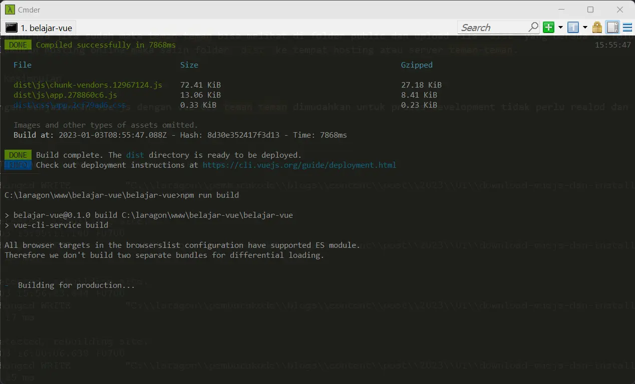 vue cli running local proses