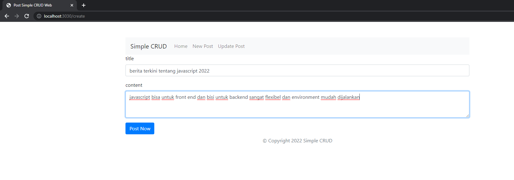 page EJS create data post